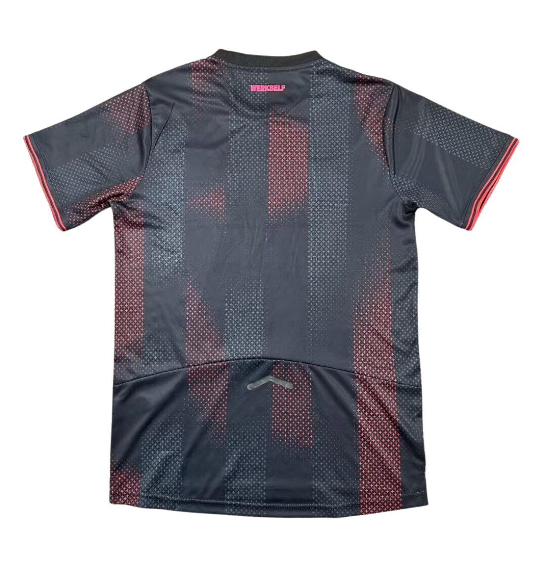 Bayer 04 Leverkusen 2024/2025 Domicile