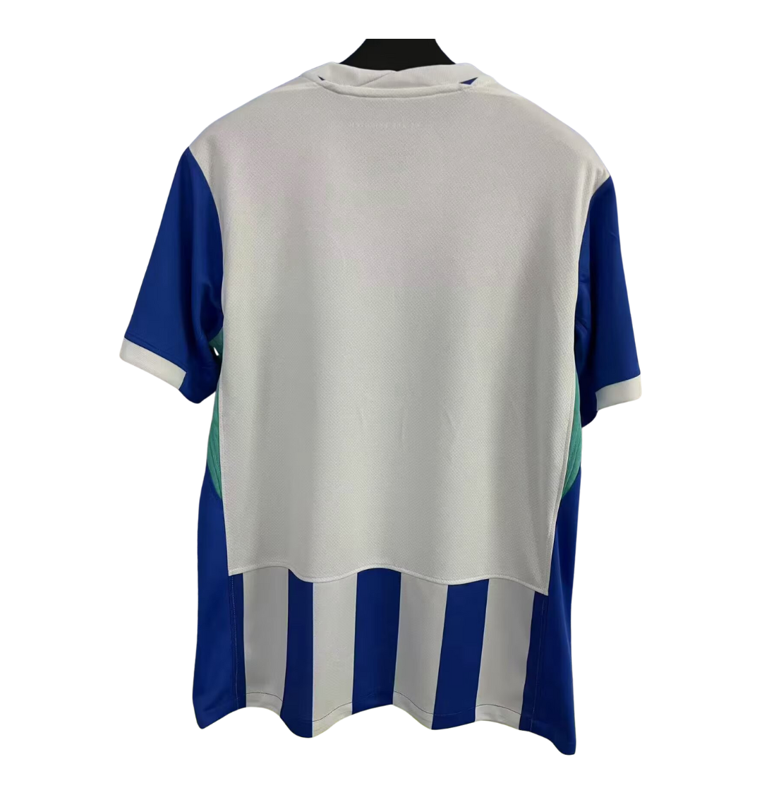 Brighton & Hove Albion 2024/2025 Domicile