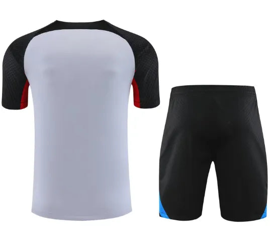 Barcelona 2023/2024 Kurzarm/Shorts Trainingsanzug Grau