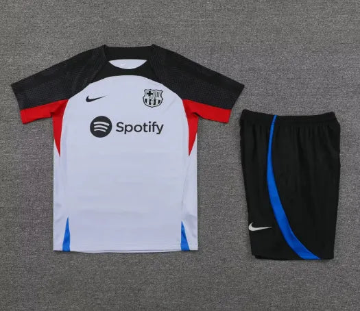 Barcelona 2023/2024 Kurzarm/Shorts Trainingsanzug Grau