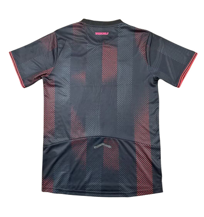 Bayer 04 Leverkusen 2024/2025 Domicile