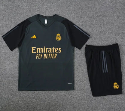 Real Madrid 2023/2024 Kurzarm/Shorts Trainingsanzug Grau