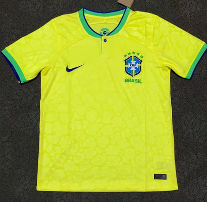 Brazil 2022 Home