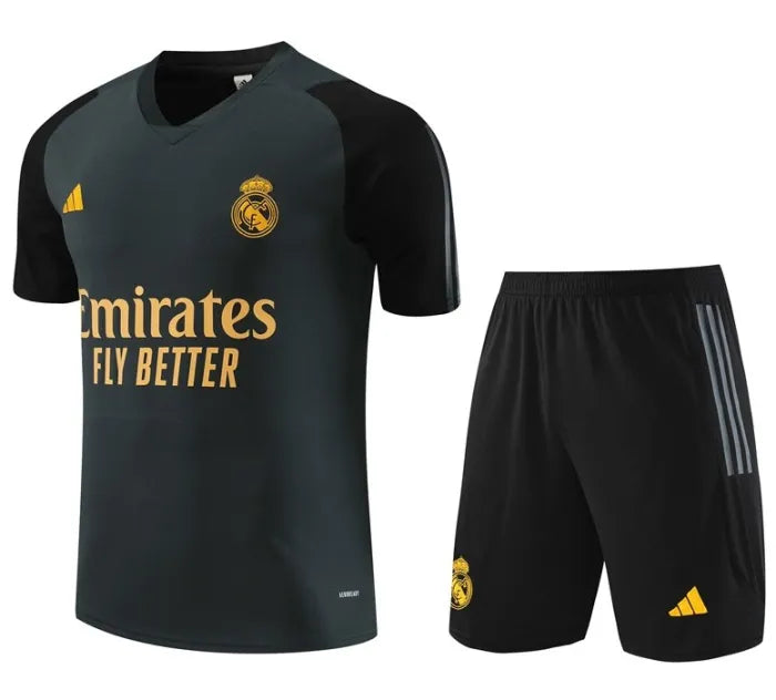 Real Madrid 2023/2024 Kurzarm/Shorts Trainingsanzug Grau