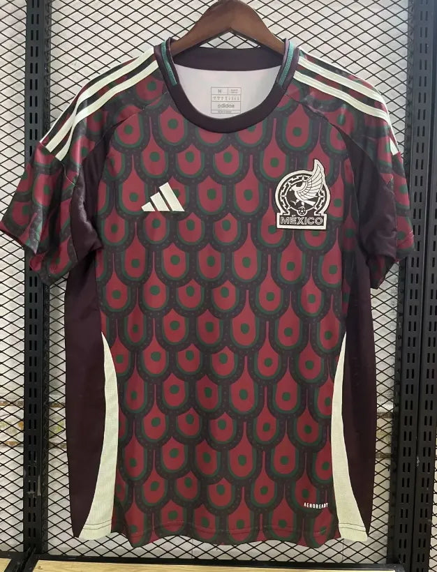 Mexico 2024 Home